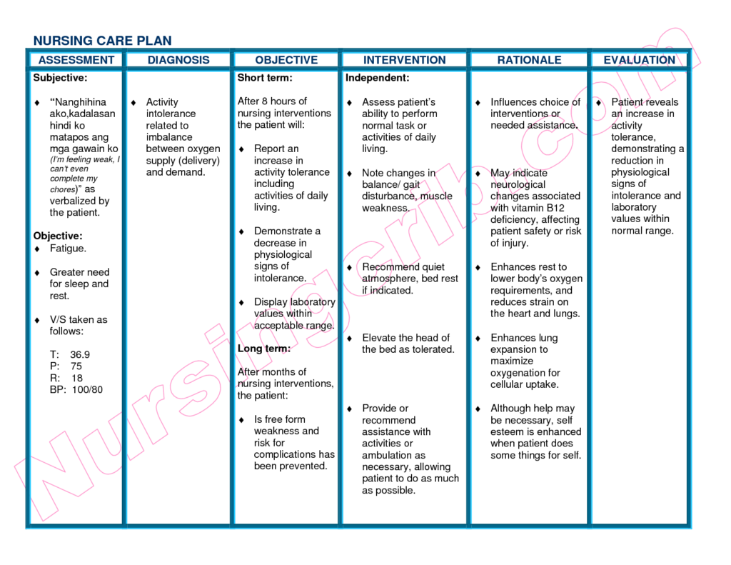 Care Plan Template Template Business   Care Plan Template Free Nursing Care Plan Templates 4 1024x791 