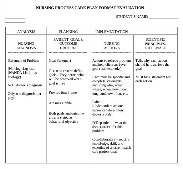 care plan template