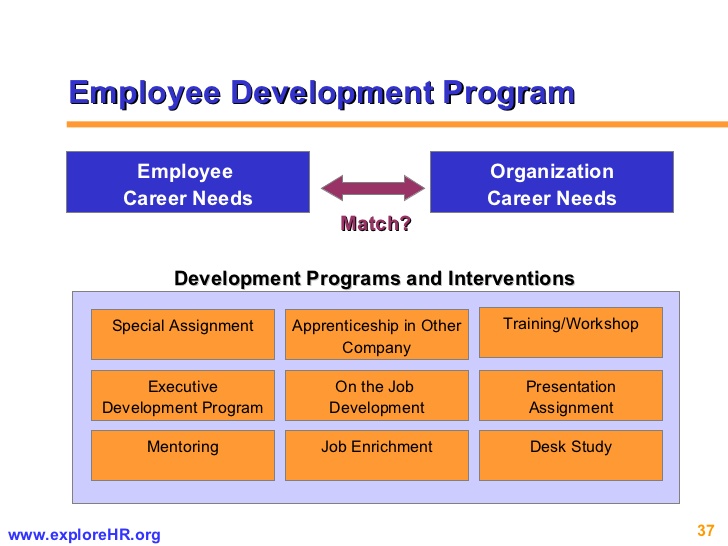 career development plan example