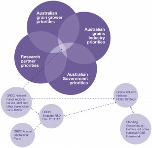 career development plan template figure planning framework for grains industry rde