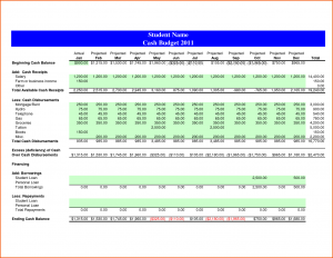 cash budget example cash budget template