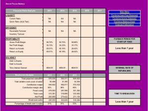 cash flow analysis template sample business plan presentation