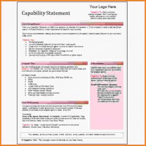 check stubs template capability statement template red capability statement