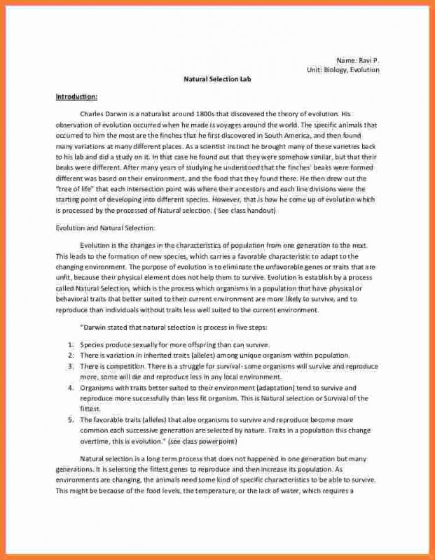 chemistry lab report template