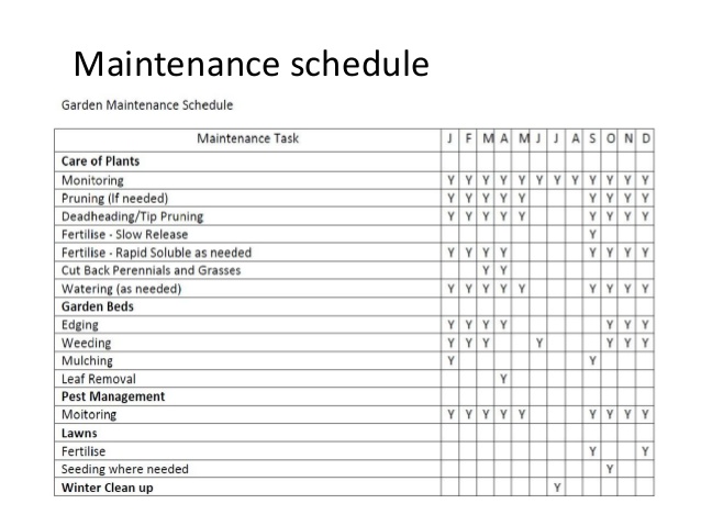 college schedule template