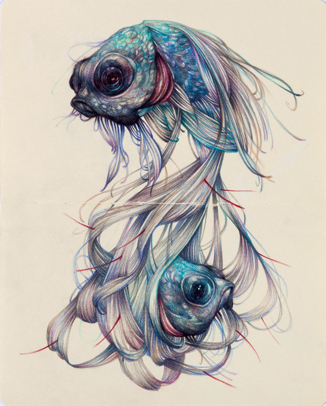 colored pencil drawings