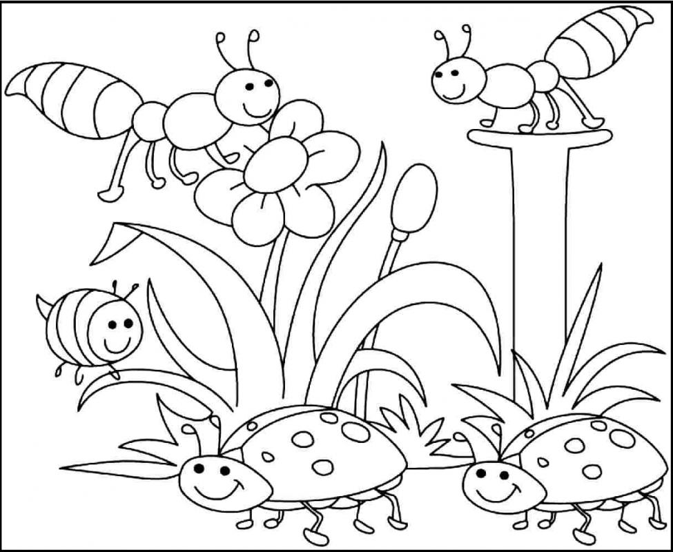 coloring pages pdf