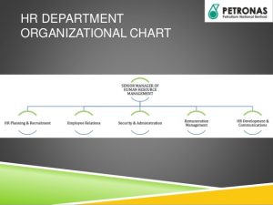 company flow chart petronas fertilizers sdn bhd shrm