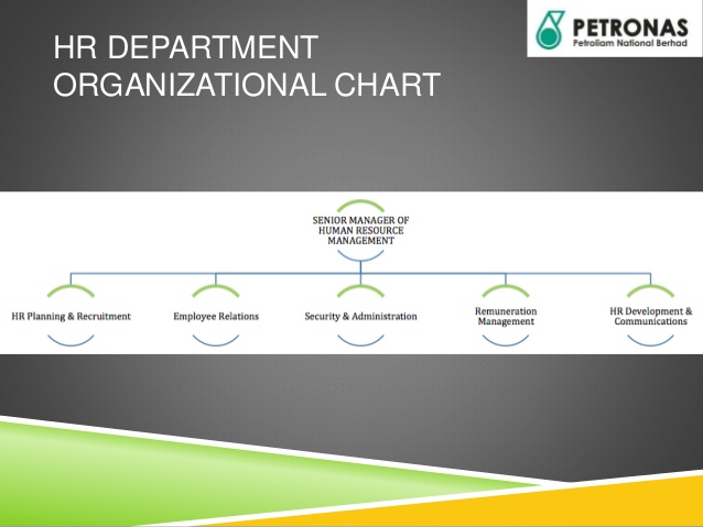 company flow chart