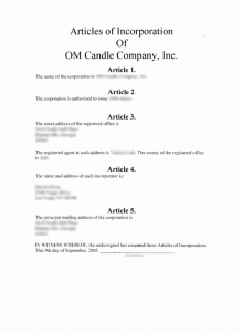 corporate minutes template georgia articles