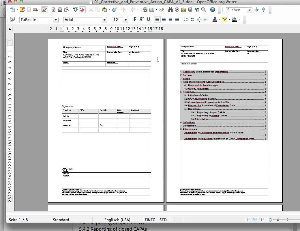 corrective action plan example