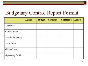 corrective action report budgeting and budgetary control