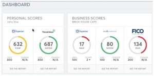 credit report sample nav dashboard