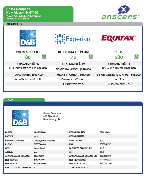 credit report sample