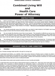 custody agreement template pennsylvania combined living will and health care power of attorney form