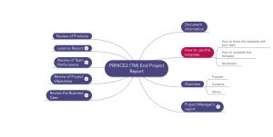 daily construction report prince (tm) end project report