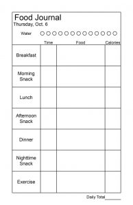 daily logs template daily food journal x