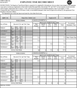 daily logs template timesheet ex