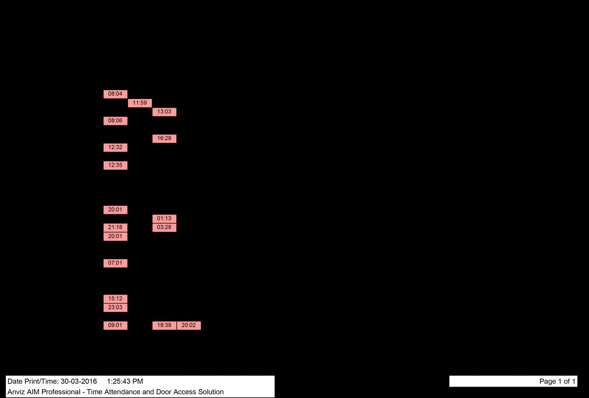 daily report template