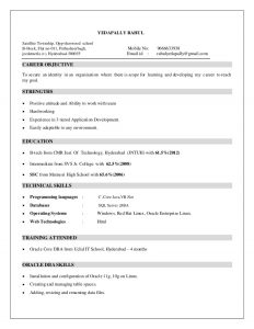 database administrator resume dba resume