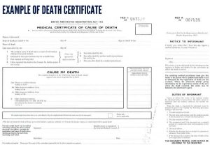 death certificate template blank example of death certificate x