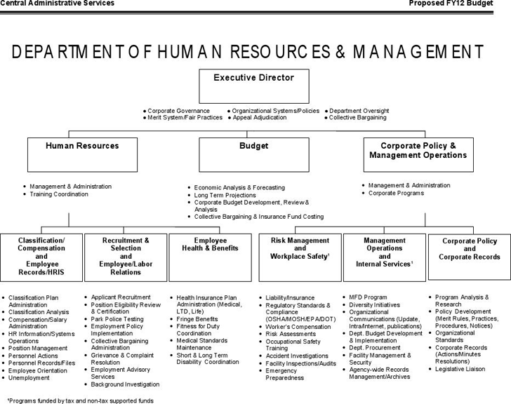 director of operations resume