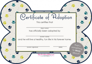 dj contract templates pet adoption certificate