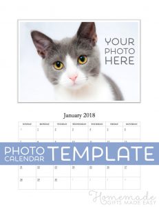 download birthday cards xphoto calendar template january cat labelled x jpg pagespeed ic kszlgxc q