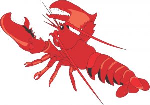 drawing of batman lobsterman clipart lobster claw clipart lobster clipart biyrpil