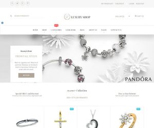 ecommerce website template luxury shop