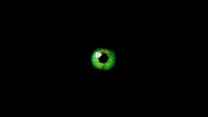 email background images green eye black background