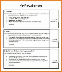 employee evaluation self performance comments sample review write samples examples assessment appraisal example form template report evaluations templates writing annual