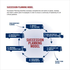 employee development plan templates succession planning model template