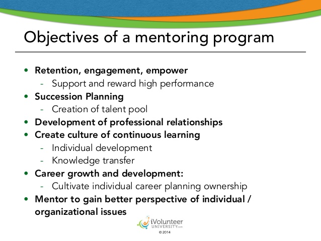employee development plans templates introducing a volunteer mentoring program part i 8 638