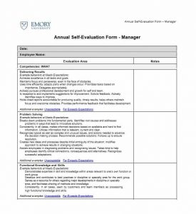 employee evaluation samples self evaluation examples