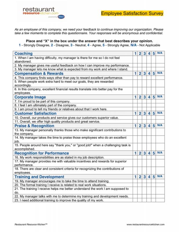 Employee Satisfaction Survey Template Business