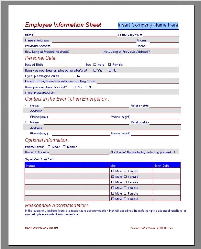 employment application template microsoft word