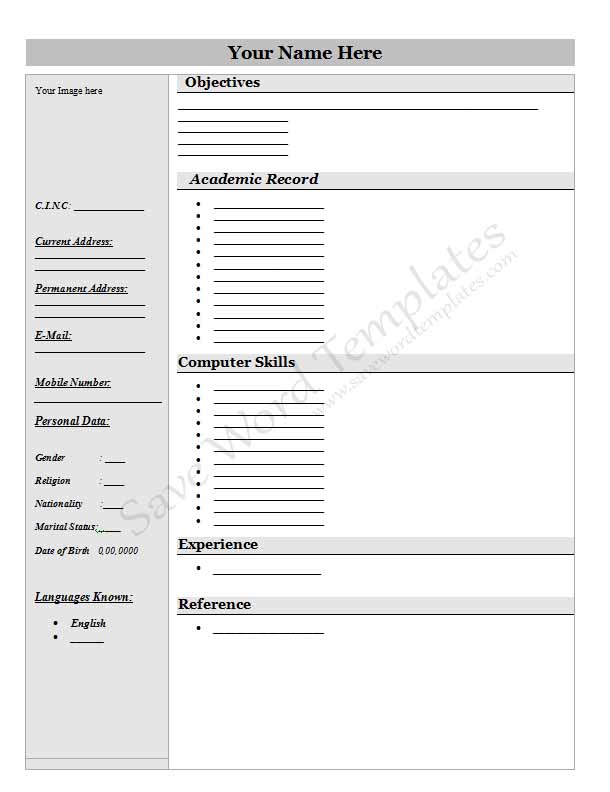 employment application template microsoft word