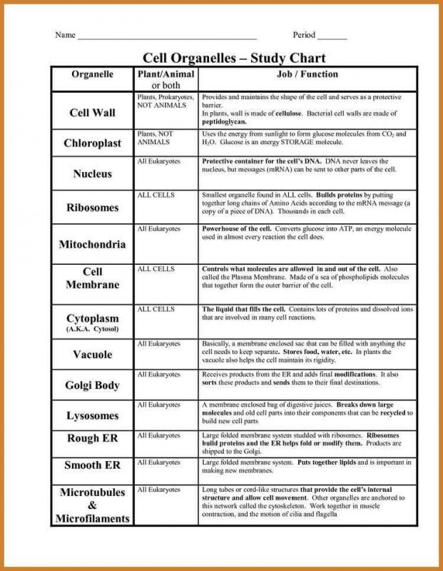 employment verification form template