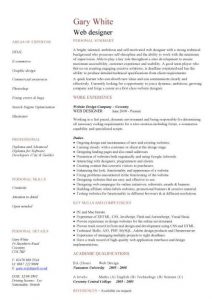 entry level cover letter examples pic web designer cv template