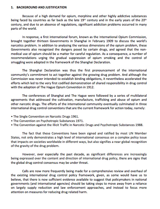 Environmental Policy Example Template Business