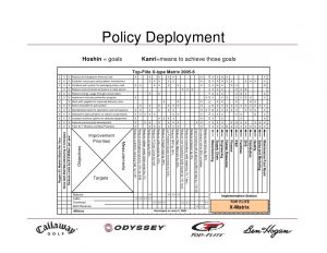 environmental policy example policy deployment example