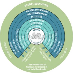 environmental policy example soer fig the healt fmt