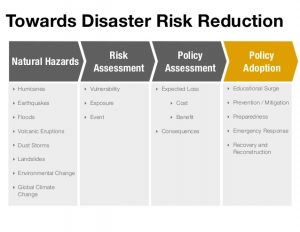 environmental policy example why do risk and disaster management matter