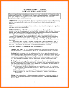 essay outline sample autobiographical sketch example examples in making autobiography essay