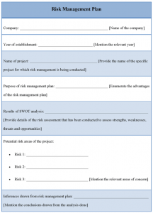 essay outline sample best elements plan template for risk management samples with fill in blank format x