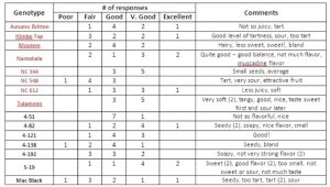 evaluation form template taste test