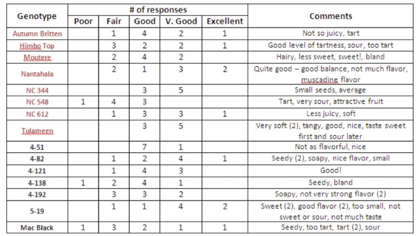 evaluation form template