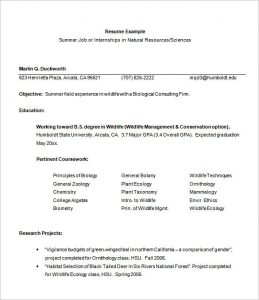 example basic resume internship resume template free samples examplespsd internship resume template