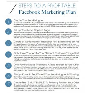 example business plans steps to a profitable facebook marketing plan x